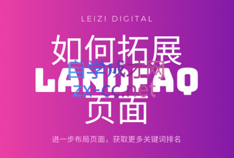 Leizi·独立站之LandFAQ页面全面布局，价值4321元