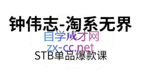 钟伟志·淘系无界STB单品爆款课（2024）