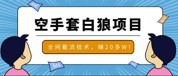 2020最新的一个空手套白狼项目
