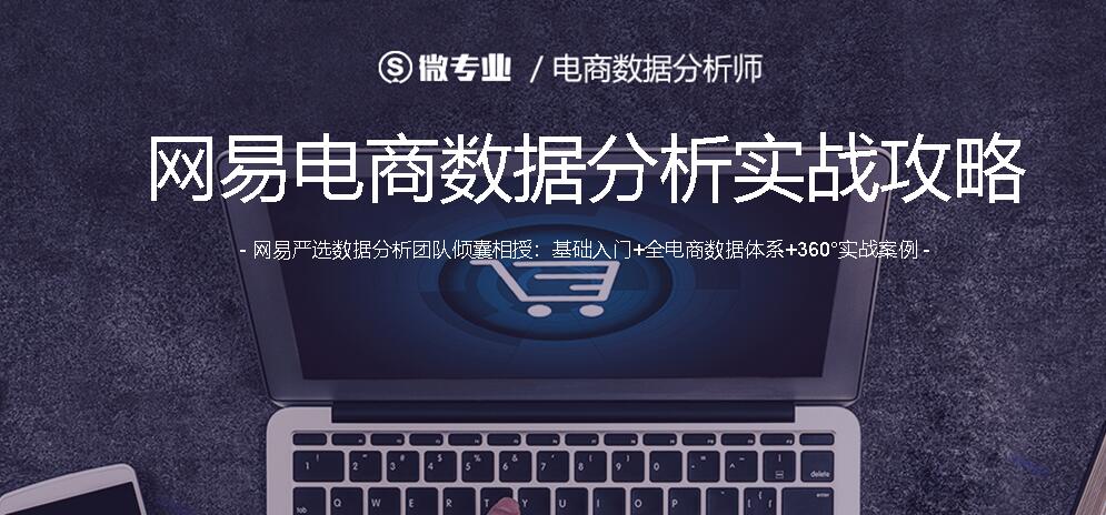 网易云课堂：电商数据分析师微专业