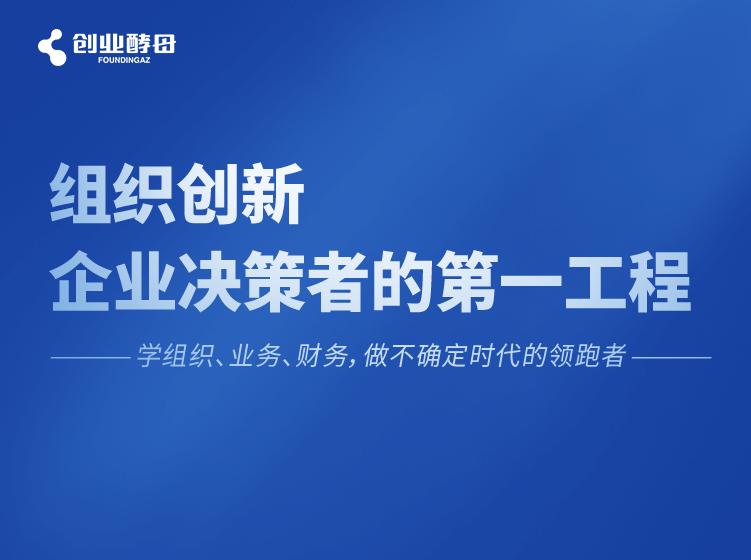 创业酵母：组织创新，企业决策者的第一工程