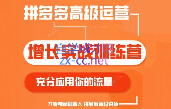 大麦老师·拼多多单品爆款打造课程（更新6月）