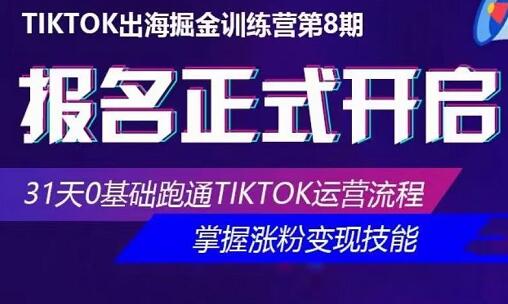 优联荟·Tiktok出海掘金训练营第8期，价值2999元