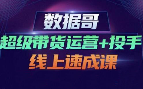 数据哥·超级带货运营+投手线上速成课，价值4980元