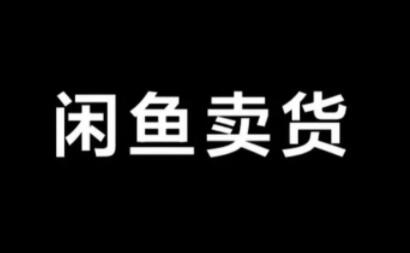 引流哥·闲鱼卖苹果手机项目，价值888元