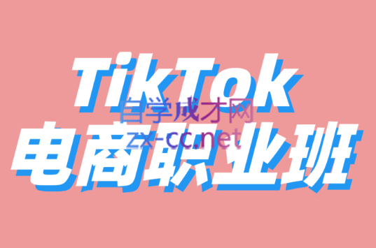 2022TikTok电商职业班-陪跑辅导21天