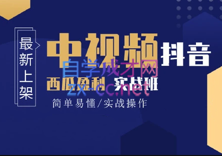 高鹏圈·蓝海中视频项目，价值980元