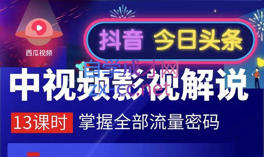 嚴如意·中视频影视解说—掌握流量密码，价值980元