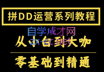 2022全套拼多多核心实操课程，价值500元