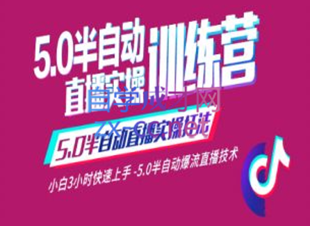 蚂蚁·5.0半自动直播2345心法，价值千元