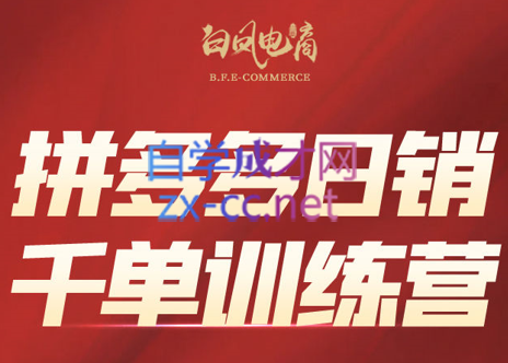 白凤电商·拼多多日销千单训练营（更新4月）