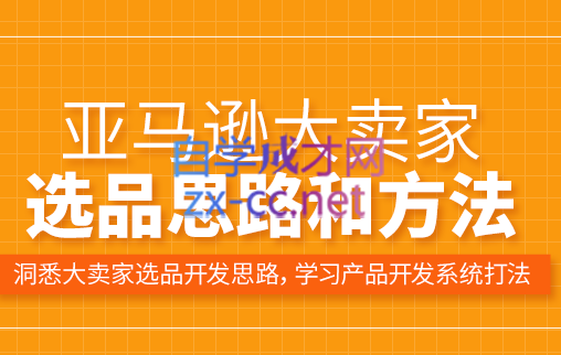 李老师·亚马逊运营管理选品课，价值3000元