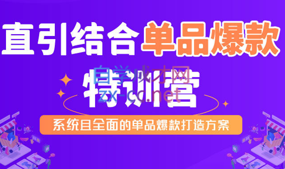 阿呆·直引结合单品爆款特训营（第一期），价值2980元
