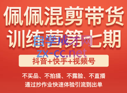 佩佩短视频带货训练营（第七期），价值2980元