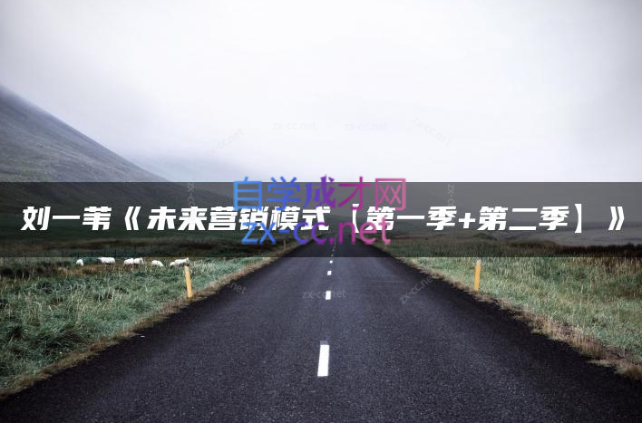 刘一苇，未来营销模式，第一季+第二季