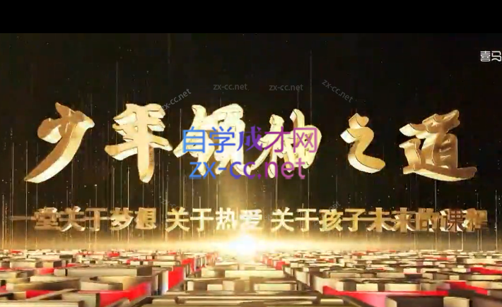 周文强-少年领袖之道