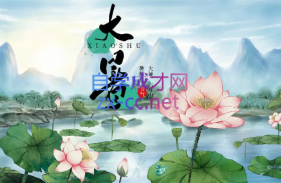《二十四节气中的中医智慧》