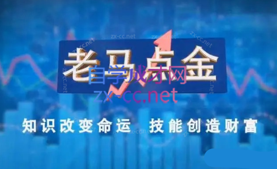 老马点金职业操盘手的看盘与复盘技巧