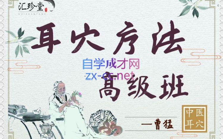 曹猛耳穴（耳针）疗法–高级进修课 125讲