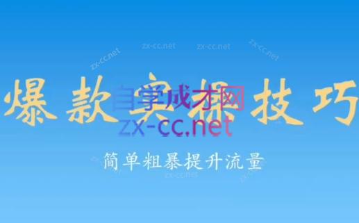丁老师·淘系流量实操课（老经典）