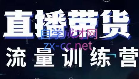 余老师·直播带货流量训练营