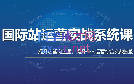 白老师·国际站运营实战系统（高质量询盘增长课）(部分更新)