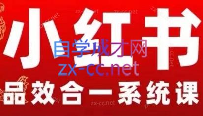 迪安·Dian出品-小红书品效合一系统教学