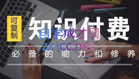 君哥·IP合伙人知识付费虚拟项目（更新）