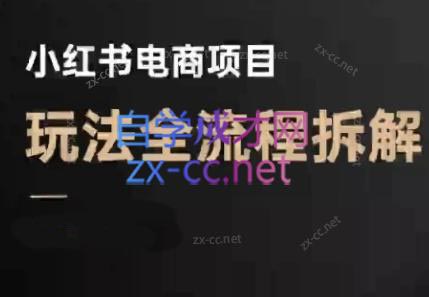 菲菲老师·小红书电商玩法（更新9月）