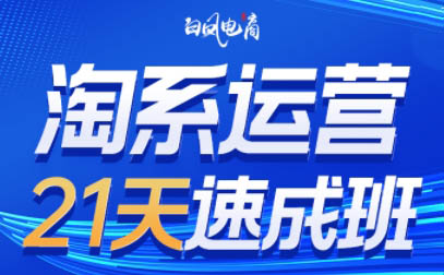 白凤电商·淘系运营21天速成班（更新4月）