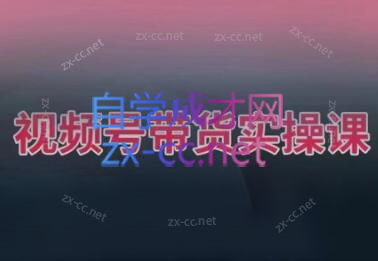 张小伟·视频号带货实操课（更新7月）