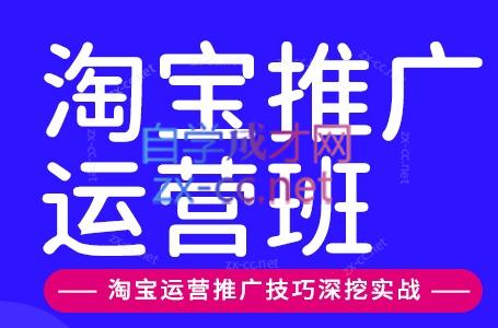 美迪电商·淘宝高级运营班+推广运营班（更新4月）