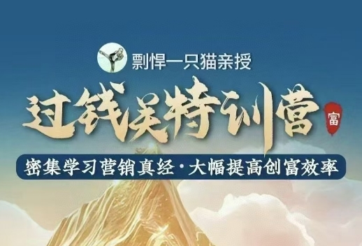 剽悍一只猫·过钱关特训营