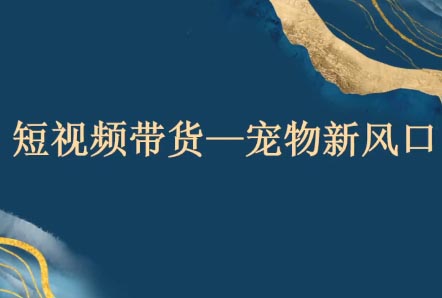 萌宠短视频快速起号流量课