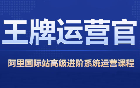 大钟老师·阿里巴巴国际站高级运营实战打造爆款店铺（更新9月）
