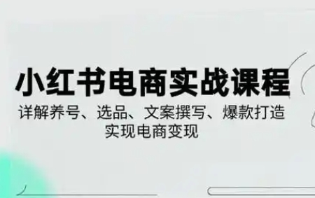 戴小胖·小红书爆量会6月28-30号线下课