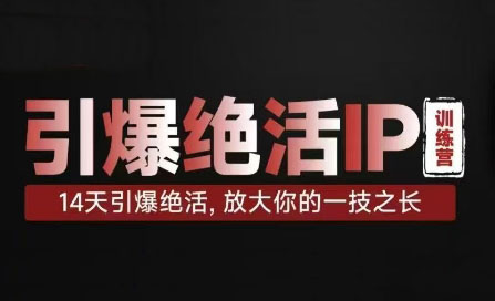 坤龙·引爆绝活IP训练营