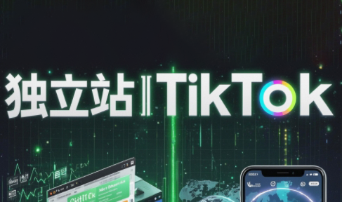 交个朋友·2025独立站全栈运营+TikTok达人全流程实操