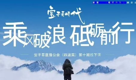 宝子哥·4月12-13号第十期线下课（录音+PPT，送9期）
