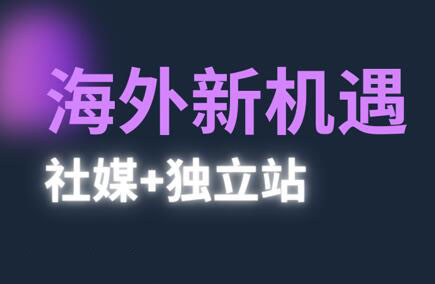 棕榈·2025出海新机遇（社媒+独立站）