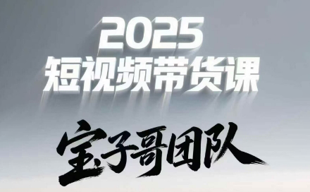 宝子哥头部团队短视频带货（更新9月）