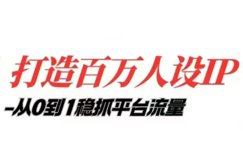 天诺老吴·打造百万人设IP课