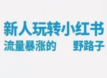林智杰老师·小红书流量野路子