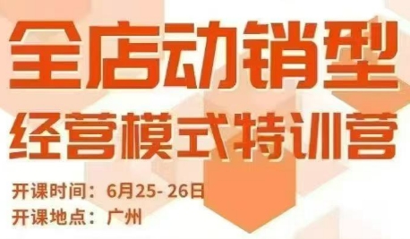 阿呆电商·全店动销型经营模式（6月25-26日广州线下课）录音+字幕