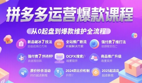 泓一·拼多多弟子班实操课程（更新5月）