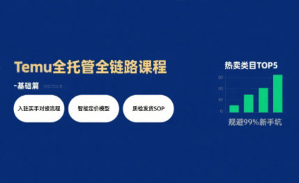 智创跃升·AI增效实战Temu全托管掘金课