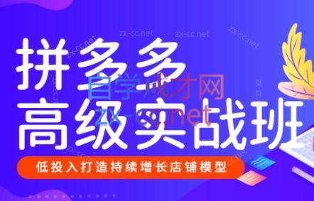 美迪创客·拼多多高级实战班+开店推广班（更新4月）