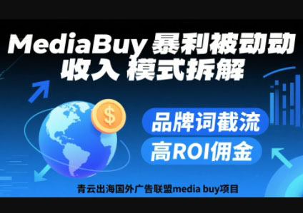 青云出海国外广告联盟media buy项目