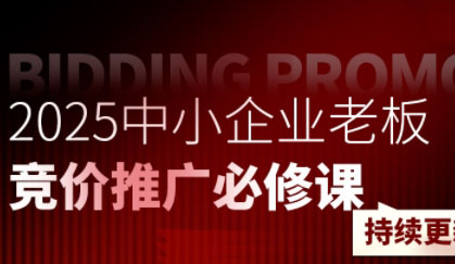 凯凯老师·2025中小企业老板竞价推广必修课