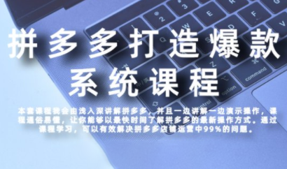 大海·拼多多高阶打造爆款全套课程